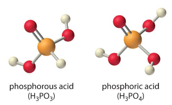 Ball and stick models of phosphorous acid, H3PO3, and phosphoric acid, H3PO4.