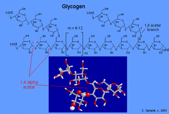 images glucose structure LibreTexts Chemistry  Glycogen