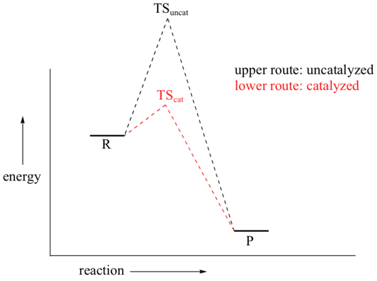 Potential energy diagram showing the uncatalyzed and catalyzed route. The catalyzed route takes less energy. 