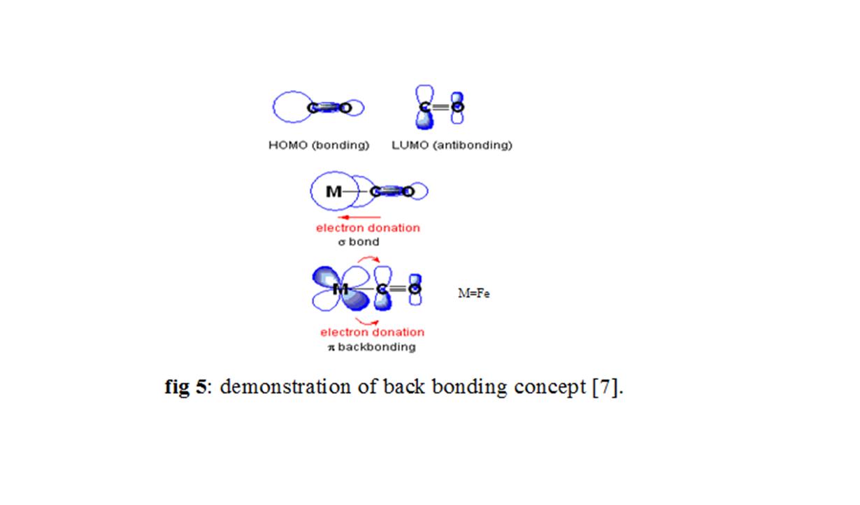 demonstation of back bonding.jpg