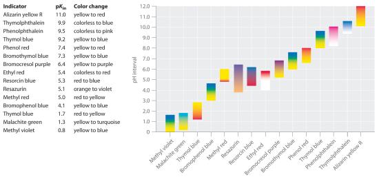 Bar chart showing the carbon footprint of food products per kilogram, ranked from lowest to highest. Foods like beef have the highest footprint, while plant-based foods have the lowest.
