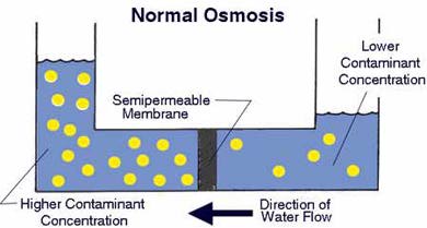 For normal osmosis, water flows from the lower contaminant concentration through a semipermeable membrane to the higher contaminant concentration. 