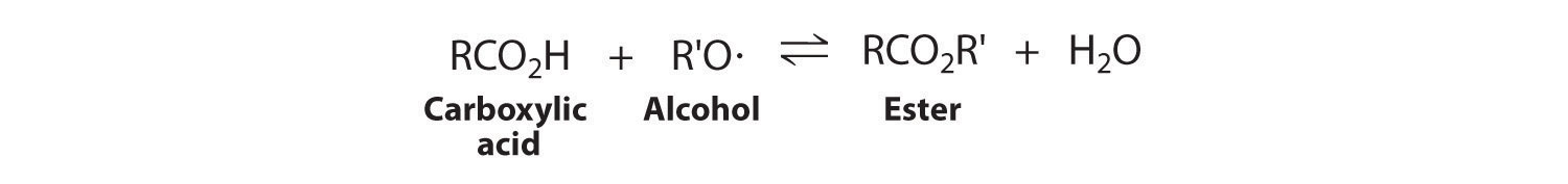 Carboxylic acid reacts with an alcohol to form an ester and water.