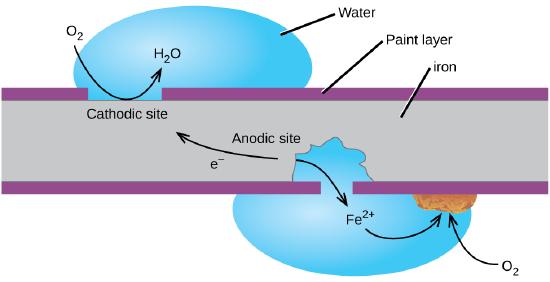 A grey rectangle, labeled &#8220;iron,&#8221; is shown with thin purple layers, labeled &#8220;Paint layer,&#8221; at its upper and lower surfaces. A gap in the upper purple layer at the upper left of the diagram is labeled &#8220;Cathodic site.&#8221; A blue droplet labeled &#8220;water&#8221; is positioned on top of the gap. A curved arrow extends from a space above the droplet to the surface of the grey region and into the water droplet. The base of the arrow is labeled &#8220;O subscript 2&#8221; and the tip of the arrow is labeled &#8220;H subscript 2 O.&#8221; A gap to the right and on the bottom side of the grey region shows that some of the grey region is gone from the region beneath the purple layer. A water droplet covers this gap and extends into the open space in the grey rectangle. The label &#8220;F e superscript 2 positive&#8221; is at the center of the droplet. A curved arrow points from the edge of the grey area below to the label. A second curved arrow extends from the F e superscript 2 positive arrow to a rust brown chunk on the lower surface of the purple layer at the edge of the water droplet. A curved arrow extends from O subscript 2 outside the droplet into the droplet to the rust brown chunk. The grey region at the lower right portion of the diagram is labeled &#8220;Anodic site.&#8221; An arrow extends from the anodic site toward the cathodic site, which is labeled &#8220;e superscript negative.&#8221;
