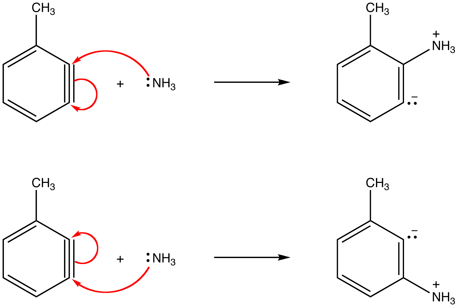 benzynemechanism3.png