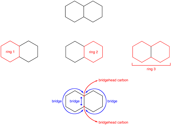 Two cyclohexanes bound together through bridgehead carbons forming a bridge.