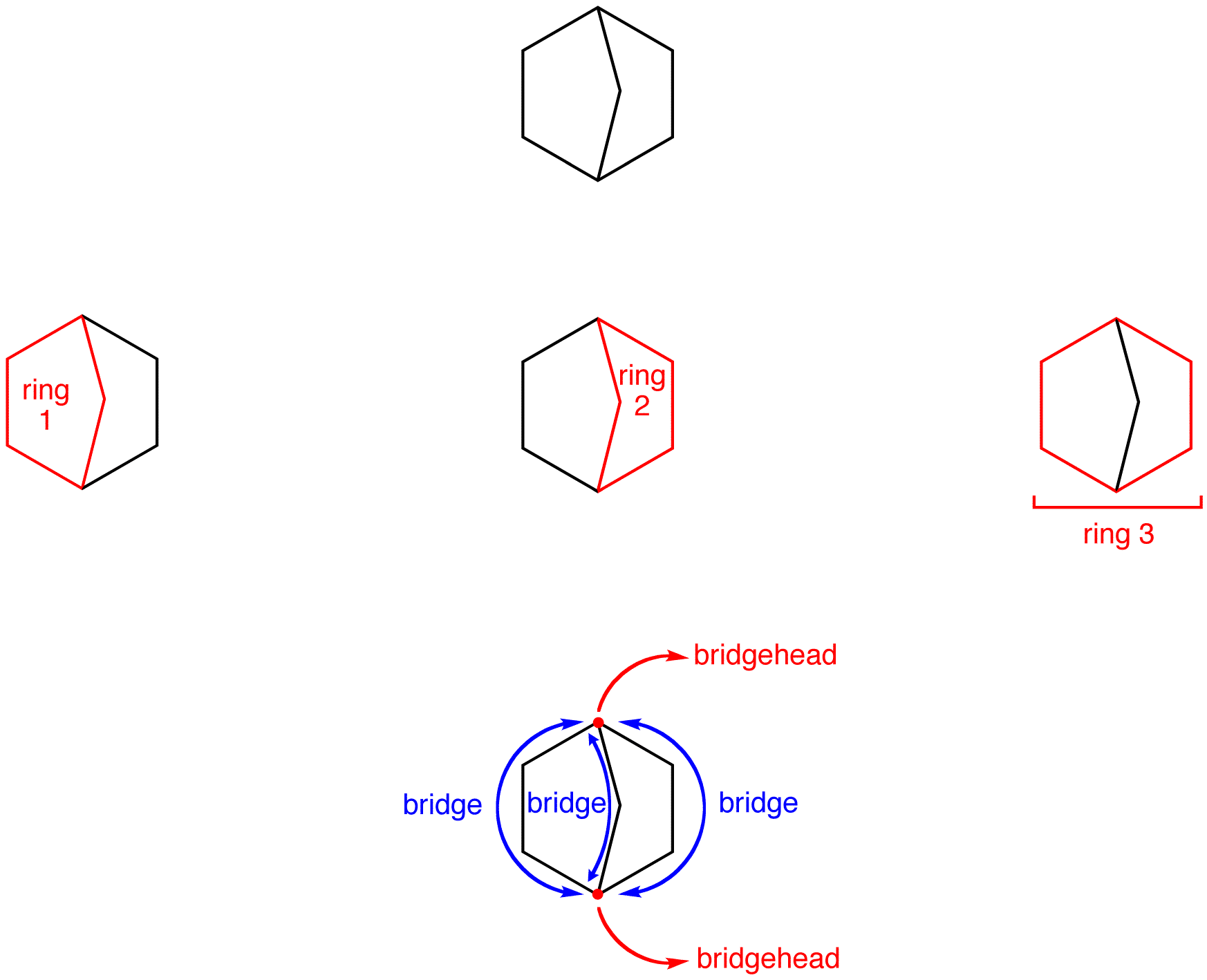 bridgedbicyloalkane2.png
