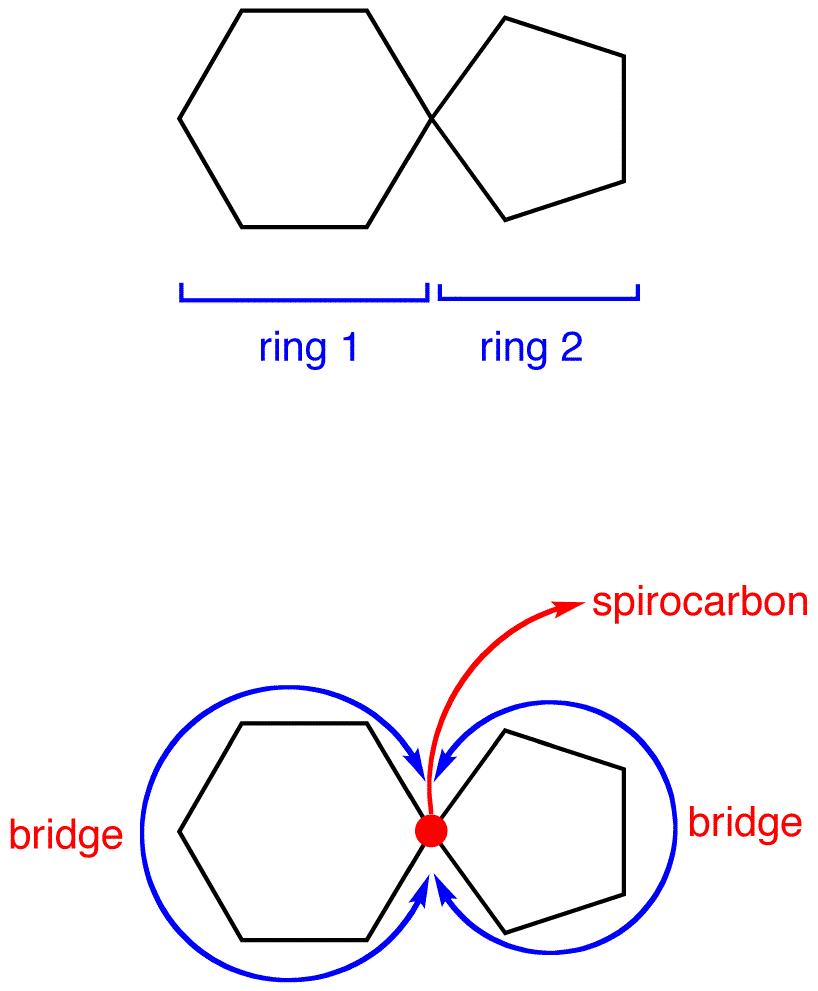 spirobicyloalkane.png