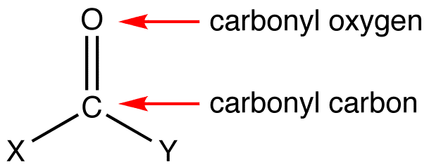 Carbonyl Group - Chemistry LibreTexts