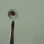 Bimetal_coil_reacts_to_lighter.gif