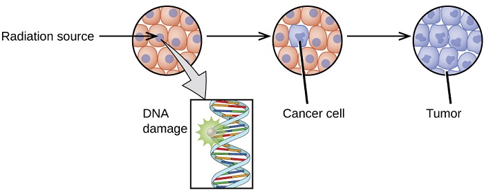 A diagram shows a radiation source affecting a normal cell causing DNA damage. The radiated cell becomes a cancer cell that, if untreated, becomes a tumor.
