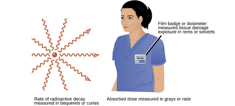 A diagram of a source of radiation and the person affected by it. The rate of radioactive decay is measured in bequerels or curies. The absorbed dose of radiation is measured in grays or rads. A film badge, or dosimeter, worn by an exposed person measures tissue damage exposure in rems or sieverts.