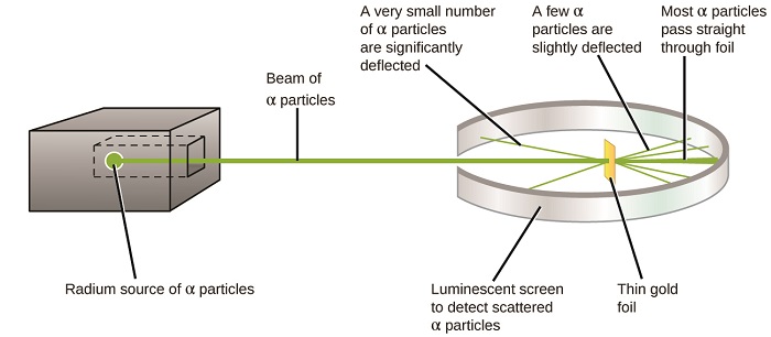 Cette figure montre une boîte sur la gauche qui contient une source de radium de particules alpha qui génère un faisceau de particules alpha. Le faisceau traverse une ouverture à l'intérieur d'un écran luminescent en forme d'anneau qui est utilisé pour détecter les particules alpha dispersées. Un morceau de mince feuille d'or se trouve au centre de l'anneau formé par l'écran. Lorsque le faisceau rencontre la feuille d'or, la plupart des particules alpha la traversent directement et atteignent l'écran luminescent situé directement derrière la feuille. Certaines des particules alpha sont légèrement déviées par la feuille et heurtent l'écran luminescent situé sur le côté de la feuille. Certaines particules alpha sont fortement déviées et rebondissent pour atteindre l'avant de l'écran.