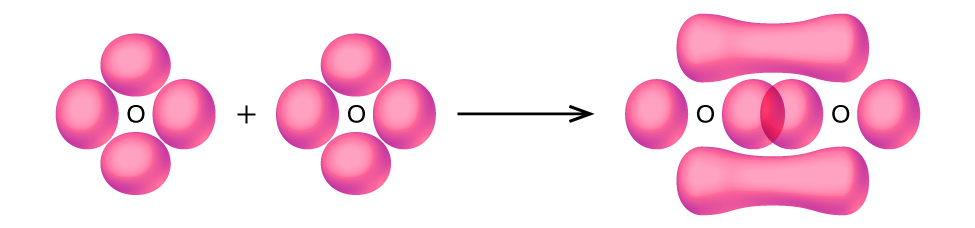 Cette figure montre les orbitales de deux atomes qui s'additionnent alors qu'ils forment des liaisons. Les deux atomes sont représentés séparément sur la droite, chacun ayant deux orbitales en forme de cacahuète situées perpendiculairement l'une à l'autre. Une flèche orientée vers la droite indique que les deux parties se sont rapprochées et que les parties supérieure et inférieure des orbitales verticales en forme de cacahuète se rejoignent au-dessus et en dessous du plan de la molécule tandis que les orbitales horizontales en forme de cacahuète se chevauchent entre les deux noyaux.