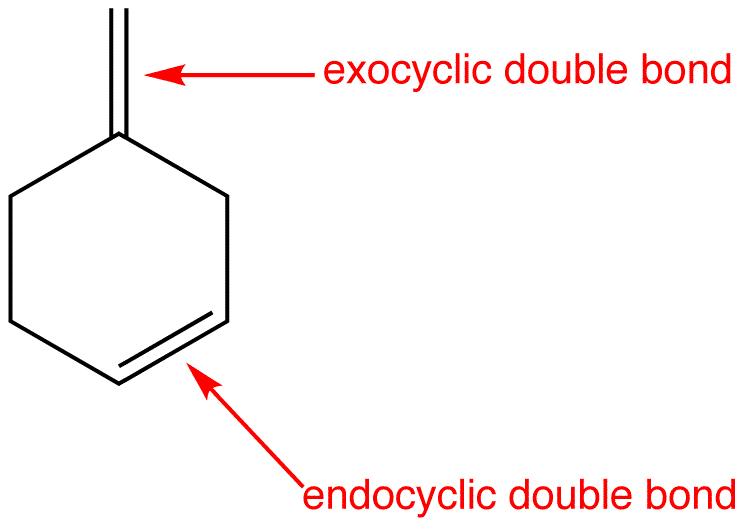 endocyclic.png