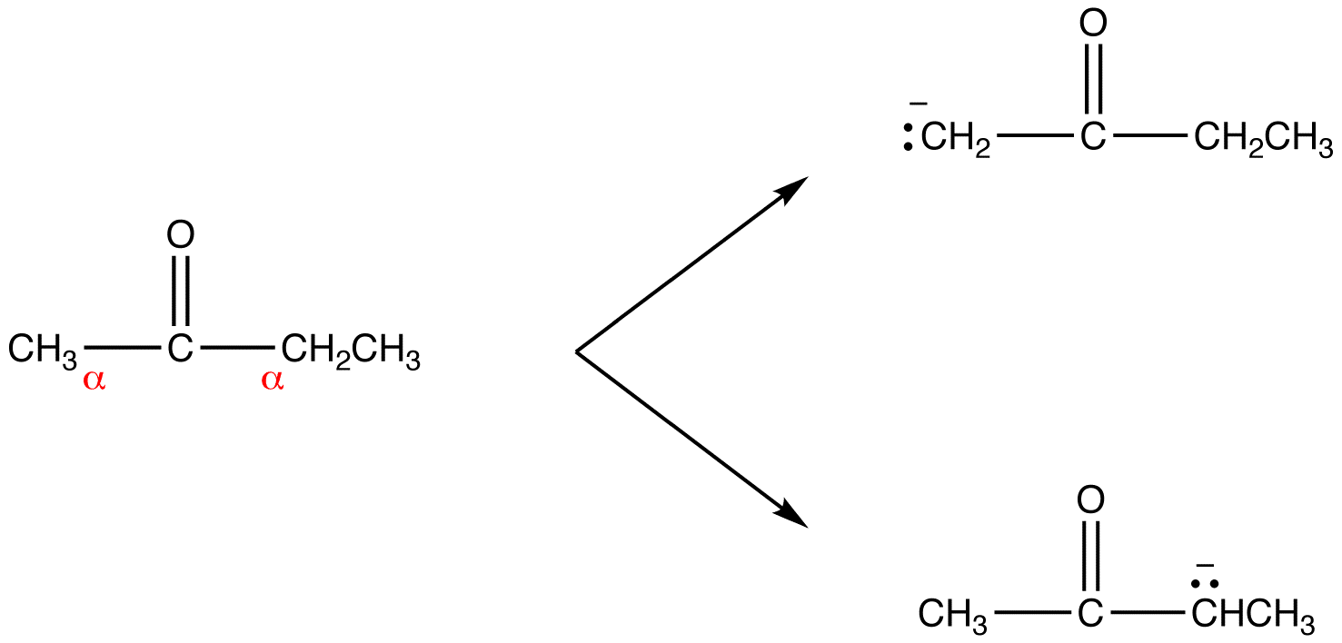 Enolate Ion - Chemistry LibreTexts