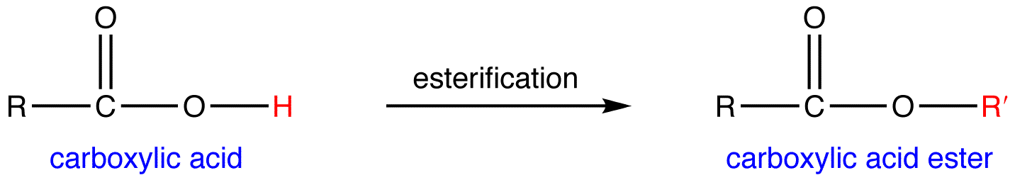 esterification1.png