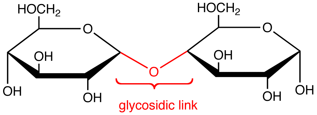 glycosidiclink2.png