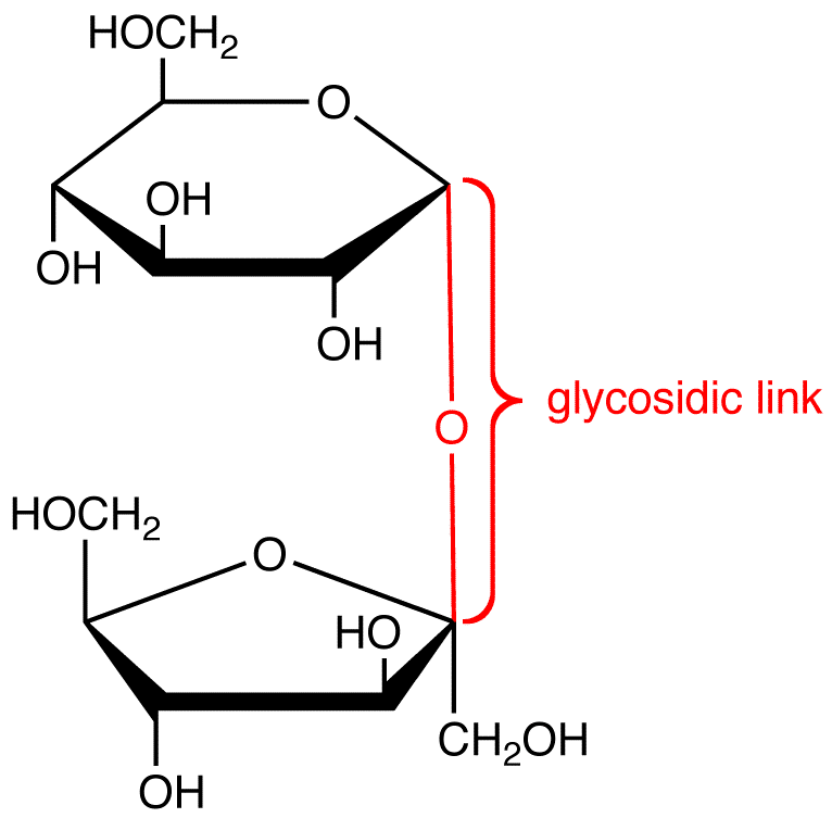 glycosidiclink1.png