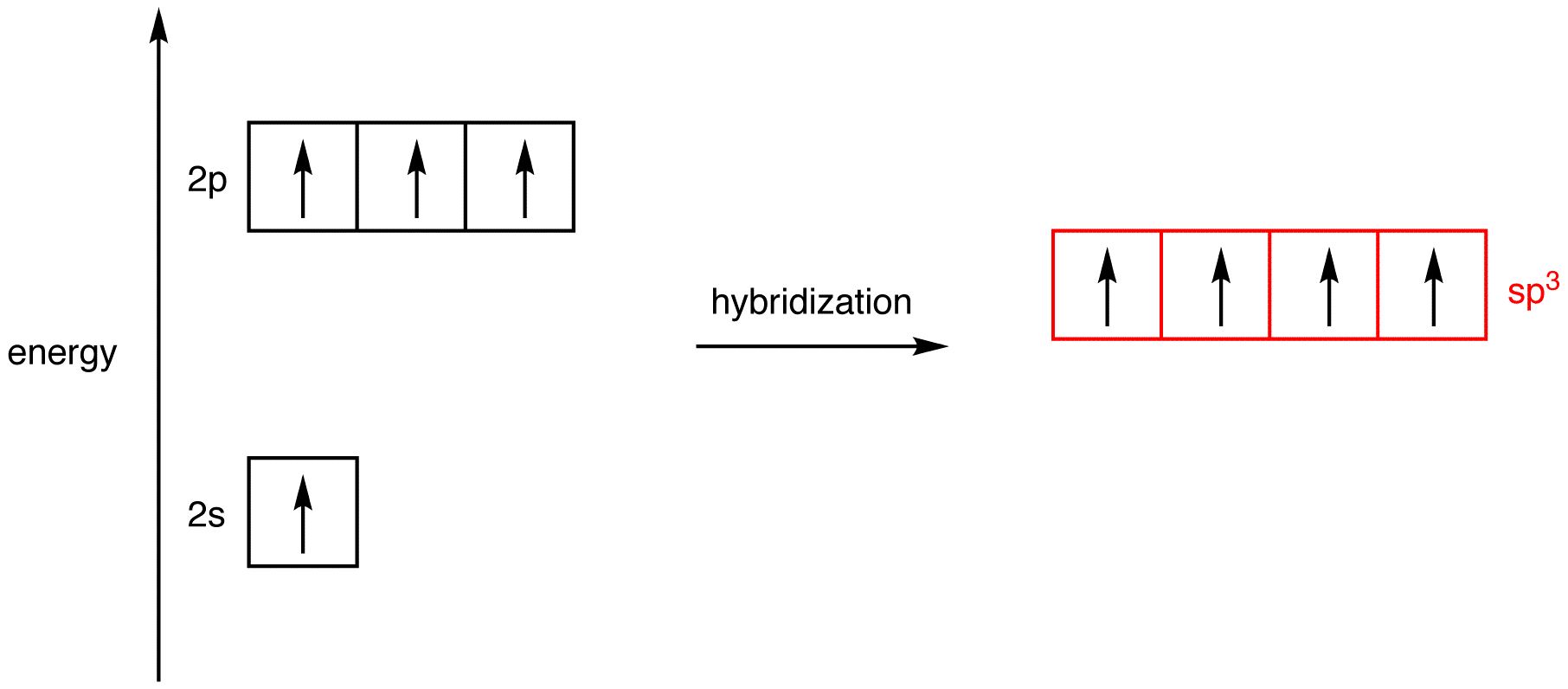 Orbital Hybridization Chart