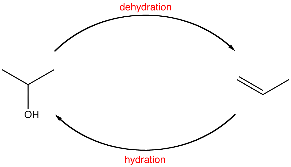 hydration7.png