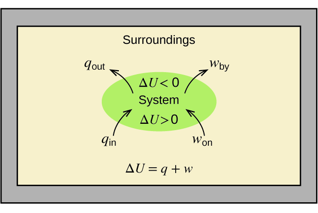 A rectangular diagram is shown. A green oval lies in the center of a tan field inside of a gray box. The tan field is labeled “Surroundings” and the equation “Δ U = q + w” is written at the bottom of the diagram. Two arrows face into the green oval and are labeled “q subscript in” and “w subscript on” while two more arrows face away from the oval and are labeled “q subscript out” and “w subscript by.” The center of the oval contains the terms “Δ U < 0”, “System,” and “Δ U > 0.”