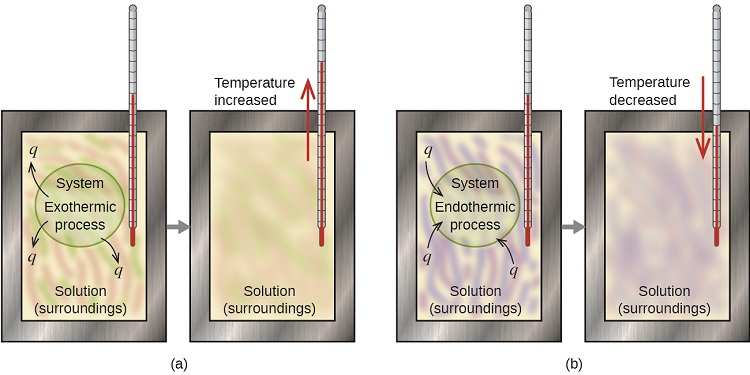 Constant pressure calorimeter - Labster