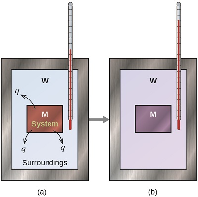 Two diagrams are shown and labeled a and b. Each diagram is composed of a rectangular container with a thermometer inserted inside from the top right corner. Both containers are connected by a right-facing arrow. Both containers are full of water, which is depicted by the letter “W,” and each container has a square in the middle which represents a metal which is labeled with a letter “M.” In diagram a, the metal is drawn in brown and has three arrows facing away from it. Each arrow has the letter “q” at its end. The metal is labeled “system” and the water is labeled “surroundings.” The thermometer in this diagram has a relatively low reading. In diagram b, the metal is depicted in purple and the thermometer has a relatively high reading.