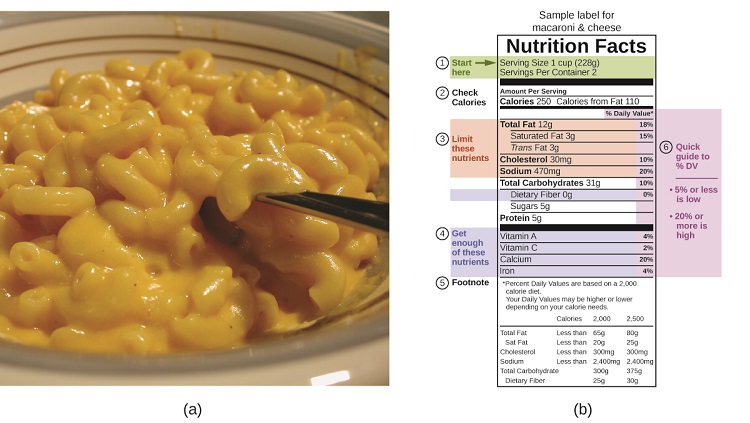 Two pictures are shown and labeled a and b. Picture a shows a close-up of a bowl of macaroni and cheese. Picture b is a food label that contains highlighted information in a table format. The top of the label reads “Sample label for macaroni and cheese.” Below this are the words “Nutrition facts.” Below this are two lines of highlighted text that read “Serving size one cup (228 g)” and “Servings per container 2.” A label to the left of these lines reads “Start here” and a right-facing arrow is beside these words. Below this are the words “check calories” which lie to the left of the phrases “Amount per serving” which is above the words “Calories 250” and “Calories from fat 210.” The next segment of the label is highlighted and contains five phrases “Total fat 12 g,” “Saturated fat 3 g,” “Trans fat 3 g,” “Cholesterol 30 m g,” and “Sodium 470 m g.” The phrase “Limit these nutrients” lies to the left of these five phrases. The phrase below these is “Total carbohydrates 31 g” and is followed by a highlighted phrase, “Dietary fiber 0 g.” Below this are the phrases “Sugars 5 g” and “Proteins 5 g.” Below this is a highlighted portion containing the phrases “Vitamin A,” “Vitamin C,” “Calcium,” and “Iron.” A label to the left of these terms states “Get enough of these nutrients.” The bottom of the label is labeled “Footnote” and reads “Percent daily values are based on a 2,000 calorie diet. Your daily values may be higher or lower depending on your calorie needs.” Each of the highlighted terms in the table are in line with a percentage value to the right of the table. A note on the outer right of the table states “Quick guide to % DV”, “5% or less is low” and “20% or more is high. The daily value for total fat is 18%, for saturated fat is 15%, for cholesterol is 10%, for sodium is 20%, for total carbohydrates is 10%, for dietary fiber is 0%, for vitamin A is 4%, for vitamin C is 2%, for calcium is 20%, and for iron is 4%.” At the very bottom is a table that indicates calories at 2,000 and 2,500. For total fat the table indicates less than 65 g for 2,000 calories and 80 g from 2,500 calories. For saturated fat the table indicates less than 20 g for 2,000 calories and 25 g for 2,500 calories. For cholesterol the table indicates less than 300 m g for 2,000 calories and 300 m g for 2,500 calories. For sodium the table indicates less than 2,400 m g for 2,000 calories and 2,400 m g for 2,500 calories. For total carbohydrate the table indicates 300 g for 2,000 calories and 375 g for 2,500 calories. For dietary fiber the table indicates 25 g for 2,000 calories and 30 g for 2,500 calories.