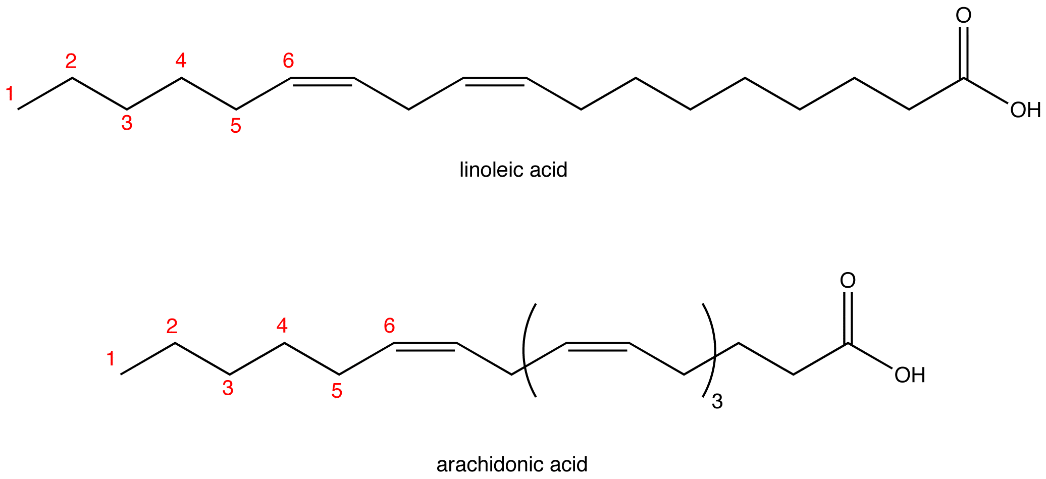 Fatty Acid Types And Food Sources Medicine Libretexts 54 Off