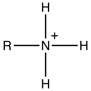 Ammónium ion