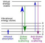 3: Vibrational Spectroscopy