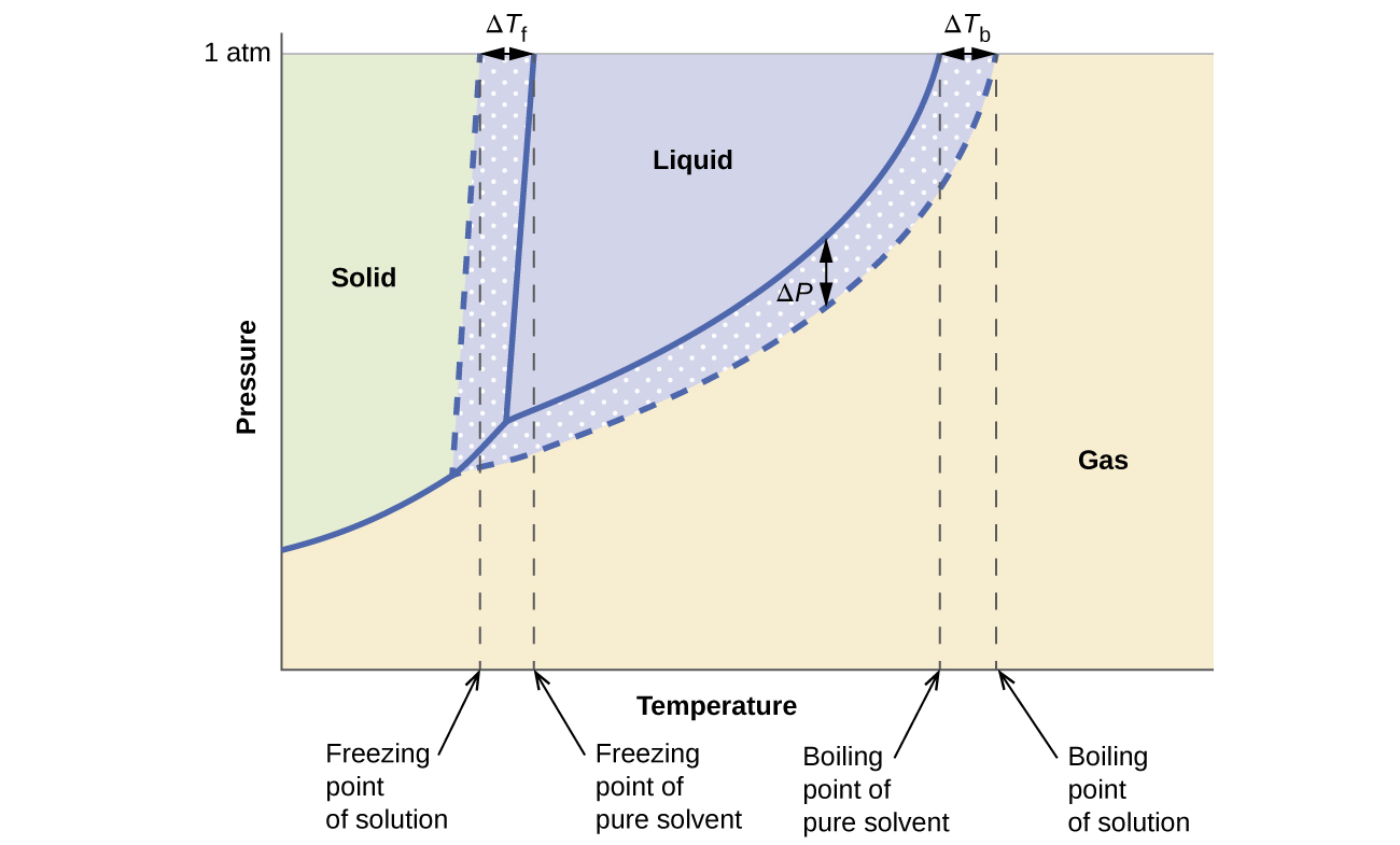 This phase diagram indicates the pressure in atmospheres of water and a solution at various temperatures. The graph shows the freezing point of water and the freezing point of the solution, with the difference between these two values identified as delta T subscript f. The graph shows the boiling point of water and the boiling point of the solution, with the difference between these two values identified as delta T subscript b. Similarly, the difference in the pressure of water and the solution at the boiling point of water is shown and identified as delta P. This difference in pressure is labeled vapor pressure lowering. The lower level of the vapor pressure curve for the solution as opposed to that of pure water shows vapor pressure lowering in the solution. Background colors on the diagram indicate the presence of water and the solution in the solid state to the left, liquid state in the central upper region, and gas to the right.