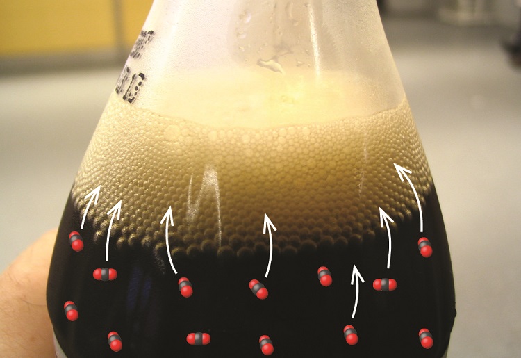 Un líquido marrón oscuro se muestra en un recipiente transparente e incoloro. Una gruesa capa de burbujas de color beige aparece en la superficie del líquido. En el líquido, se muestran trece pequeños racimos de esferas negras individuales con dos esferas rojas unidas a la izquierda y a la derecha. Las esferas rojas representan átomos de oxígeno y las negras representan átomos de carbono. Siete flechas blancas apuntan hacia arriba en el contenedor desde estos racimos hasta la capa de burbujas en la parte superior del líquido.
