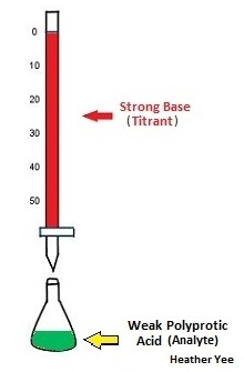 Diagram of a burette titrating a strong base into an analyte which is the weak polyprotic acid.