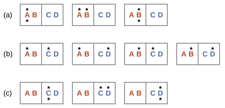 Three rows labeled a, b, and c are shown and each contains rectangles with two sides where the left side is labeled, “A,” and “B,” and the right is labeled, “C,” and “D.” Row a has three rectangles where the first has a dot above and below the letter A, the second has a dot above the A and B, and the third which has a dot above and below the letter B. Row b has four rectangles; the first has a dot above A and C, the second has a dot above A and D, the third has a dot above B and C and the fourth has a dot above B and D. Row c has three rectangles; the first has a dot above and below the letter C, the second has a dot above C and D and the third has a dot above and below the letter D.