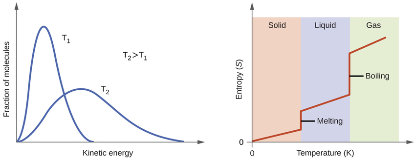 Two graphs are shown. The y-axis of the left graph is labeled, “Fraction of molecules,” while the x-axis is labeled, “Velocity, v ( m / s ),” and has values of 0 through 1,500 along the axis with increments of 500. Four lines are plotted on this graph. The first, labeled, “100 K,” peaks around 200 m / s while the second, labeled, “200 K,” peaks near 300 m / s and is slightly lower on the y-axis than the first. The third line, labeled, “500 K,” peaks around 550 m / s and is lower than the first two on the y-axis. The fourth line, labeled, “1000 K,” peaks around 750 m / s and is the lowest of the four on the y-axis. Each line get increasingly broad. The second graph has a y-axis labeled, “Entropy, S,” with an upward-facing arrow and an x-axis labeled, “Temperature ( K ),” and a right-facing arrow. The graph has three equally spaced columns in the background, labeled, “Solid,” “Liquid,” and, “Gas,” from left to right. A line extends slightly upward through the first column in a slight upward direction, then goes straight up in the transition between the first two columns. In then progresses in a slight upward direction through the second column, then goes up dramatically between the second and third columns, then continues in a slight upward direction once more. The first vertical region of this line is labeled, “Melting,” and the second is labeled, “Boiling.”