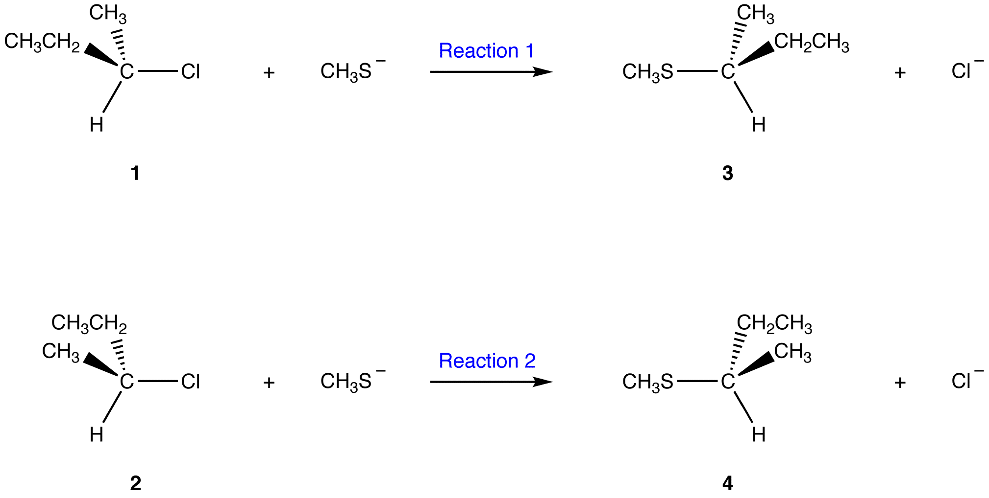 Stereospecific - Chemistry LibreTexts