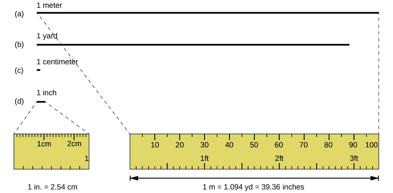 A ruler is shown with various lengths of black line shown above it to compare the relative lengths of 1 inch, meter, centimeter, and yard.