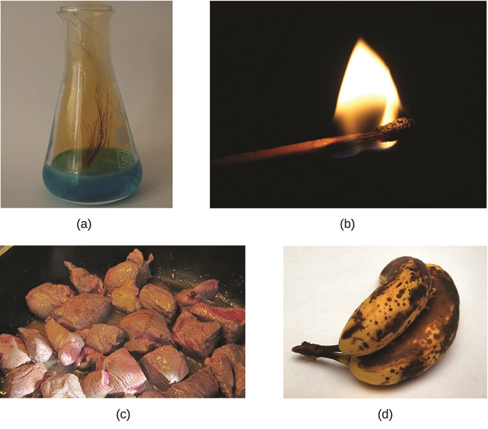 Four pictures. A. a flask with copper wires placed in a blue solution and also the presence of a gas. B. A lighted match. C. meat cubes being cooked on a pan. D. Bananas forming black spots on its peel. 