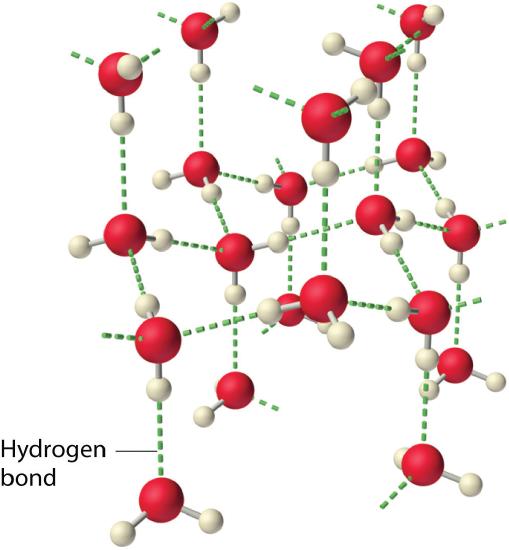 Ice holds appropriate size molecules interstitially explain how it holds  them - Chemistry - Hydrogen - 6798720