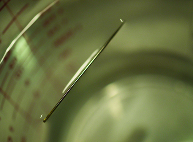 A photo shows a close-up, above-view, of a needle lying on the surface of a sample of water.