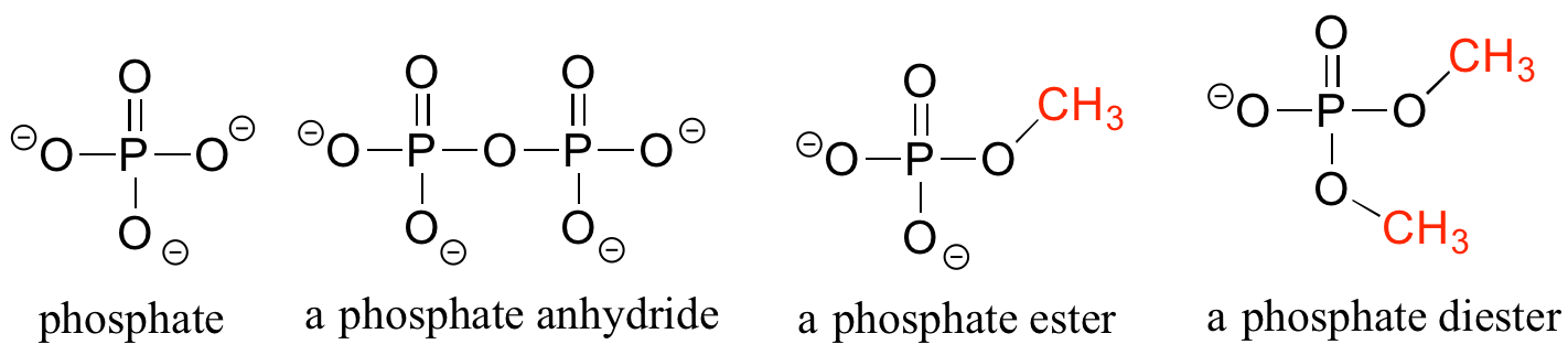organic chemistry functional groups alkane alkene alkyne