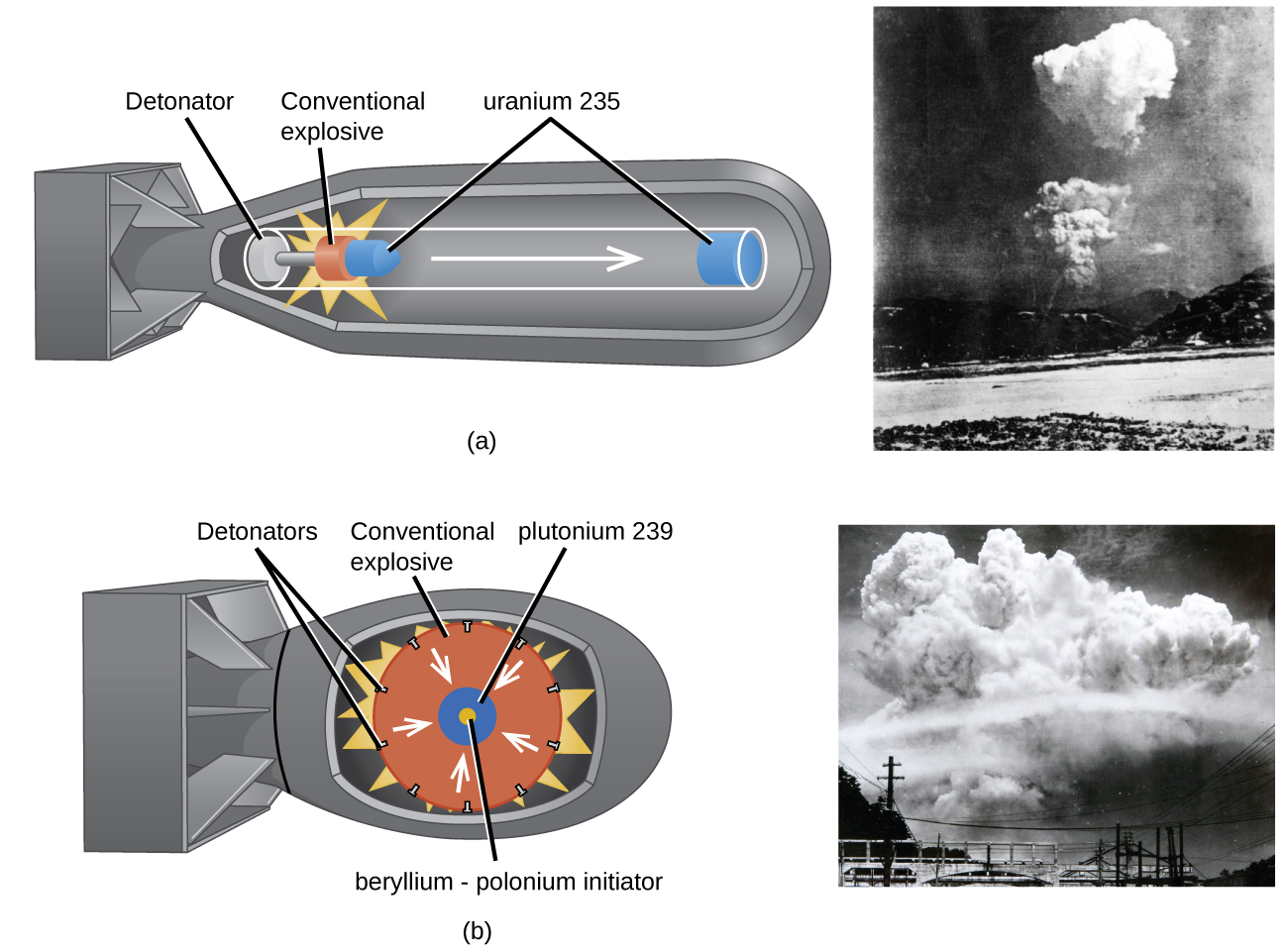 Two diagrams are shown, each to the left of a photo, and labeled “a” and “b.” Diagram a shows the outer casing of a bomb that has a long, tubular shape with a squared-off tail. Components in the shell show a tube with a white disk labeled “Detonator” on the left, an orange disk with a bright yellow starburst drawn around it labeled “Conventional explosive” in the middle and a right-facing arrow leading to a blue disk in the nose of the bomb labeled “uranium 235.” A small blue cone next to the orange disk is shares the label of “uranium 235.” A black and white photo next to this diagram shows a far-off shot of a rising cloud over a landscape. Diagram b shows the outer casing of a bomb that has a short, rounded shape with a squared-off tail. Components in the shell show a large orange circle labeled “Conventional explosive” with a series of black dots around its edge, labeled “Detonators,” and a yellow starburst behind it. White arrows face from the outer edge of the orange circle to a blue circle in the center with a yellow core. The blue circle is labeled “plutonium 239” while the yellow core is labeled “beryllium, dash, polonium initiator.” A black and white photo next to this diagram shows a far-off shot of a giant rising cloud over a landscape.