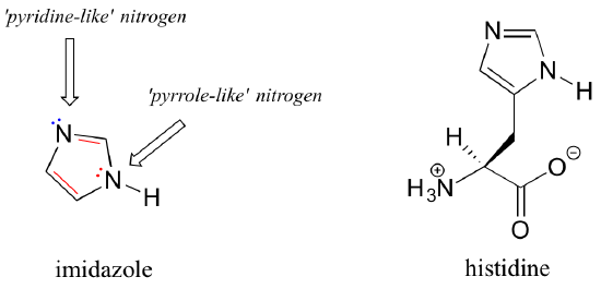 Structure of imidazole. An arrow points to the nitrogen without any double bonds and is labeled "pyrrole-like nitrogen." Another arrow points to the other nitrogen and is labeled "pyridine-like nitrogen."