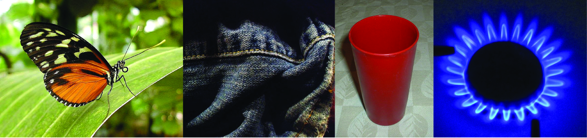 From left to right: butterfly, denim jeans, red plastic cup, and gas burner. 