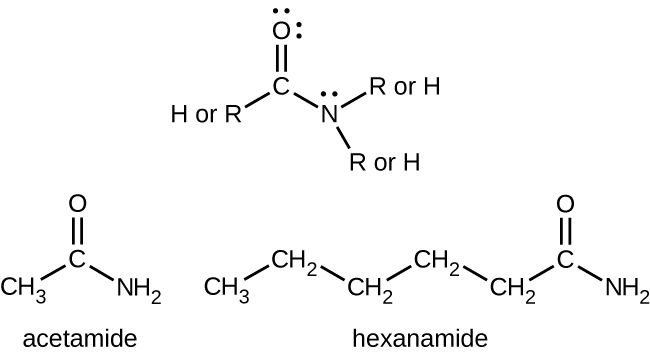 CNX_Chem_20_04_amide1_img.jpg