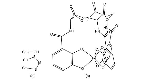 Structural formulas for British Anti Lewisite and enterobactin.