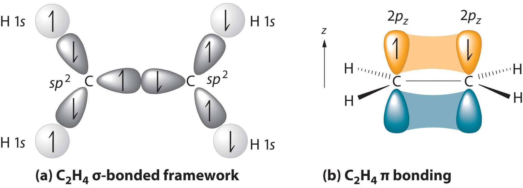 8.1: Alkene Structure - Chemistry LibreTexts