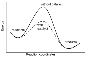 29.8: A Catalyst Affects the Mechanism and Activation Energy